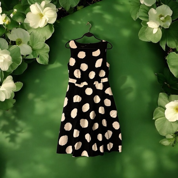 Talbots Black & White Polka Dot Dress - Picture 11 of 16